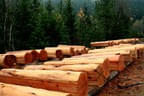 real-canadian-cedar-homes-handwerk-5